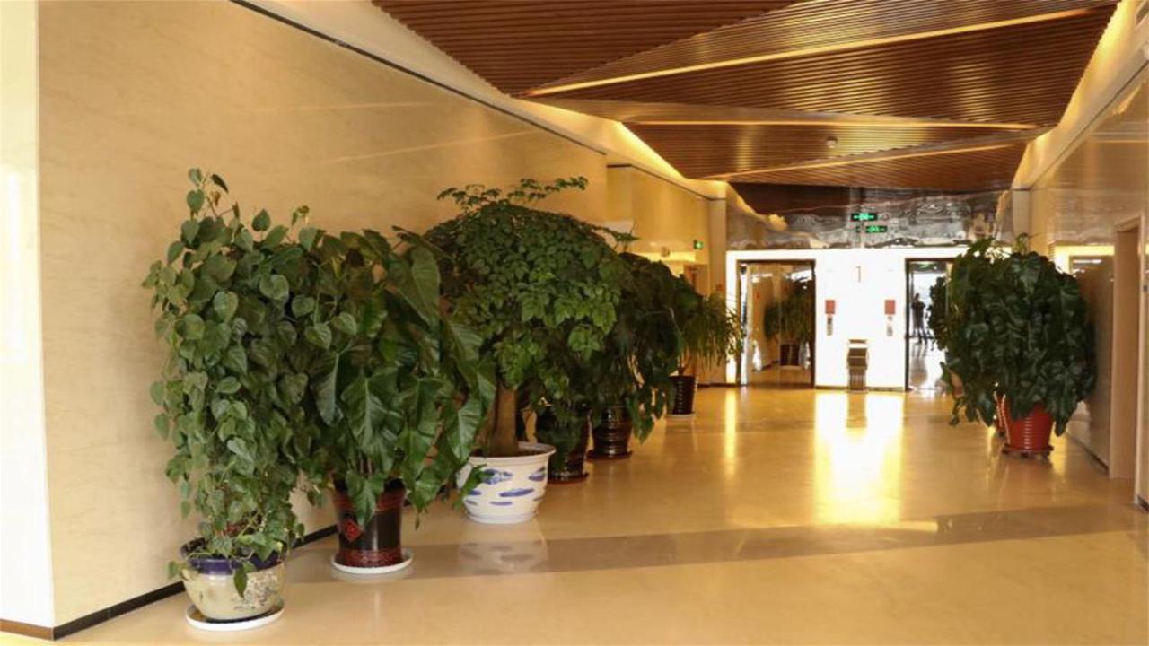 Holiday Inn Express Zhangjiakou Park View, an IHG hotel Eksteriør bilde